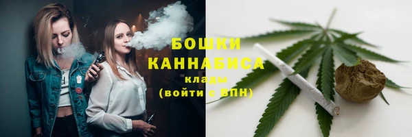 крисы Медногорск