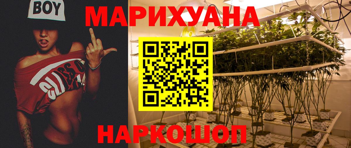Шишки марихуана марихуана Нефтеюганск